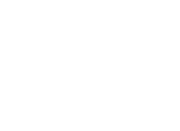logo-weiss