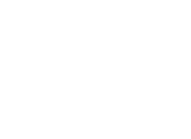 logo-weiss